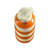 Field Bottle / Orchard Orange